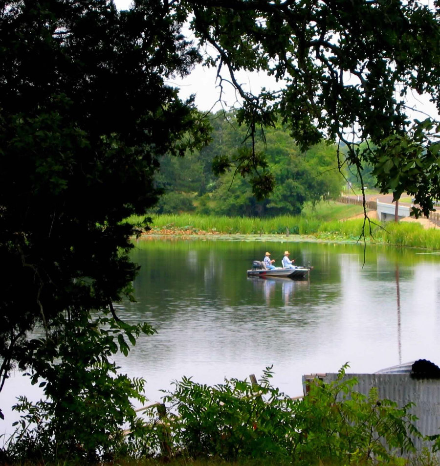 Fishing with Friends